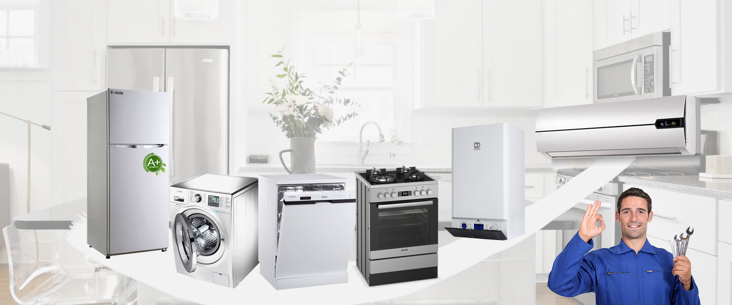 Etimesgut Dyson Servisi